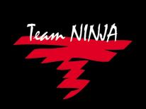 Ninja Gaiden