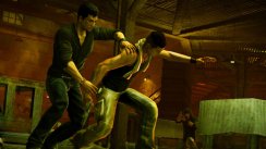 Sleeping Dogs