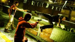 Sleeping Dogs