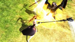 Dragon Knights