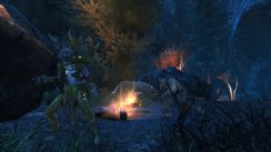 Neverwinter