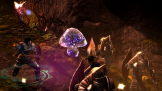 Dungeon Siege III