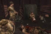Brothers in Arms: Earned in Blood