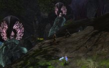 Guild Wars 2