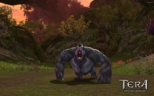 Tera