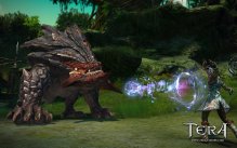 Tera