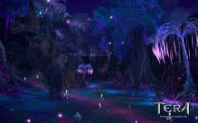 Tera
