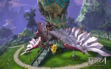 Tera
