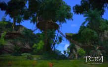 Tera