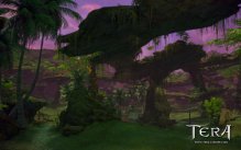 Tera