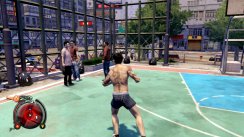 Sleeping Dogs