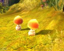 Aion