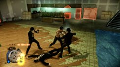 Sleeping Dogs