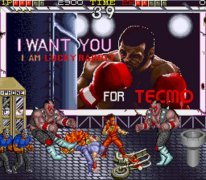 Ninja Gaiden (Virtual Console)