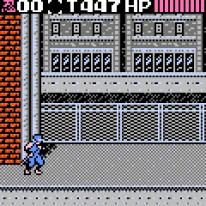 Ninja Gaiden