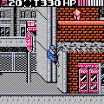 Ninja Gaiden