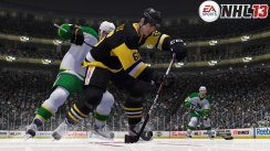 NHL 13