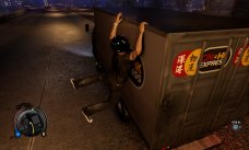 Sleeping Dogs