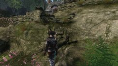 Fable III