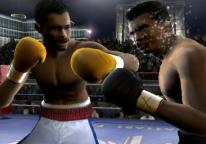 Fight Night 2004