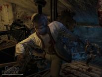 Afterfall: Insanity