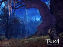Tera