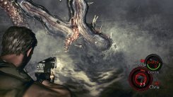 Resident Evil 5