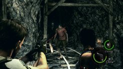 Resident Evil 5