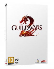 Guild Wars 2