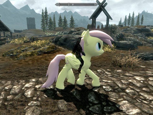The Elder Scrolls V: Skyrim
