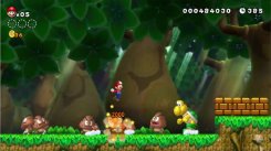 New Super Mario Bros. U