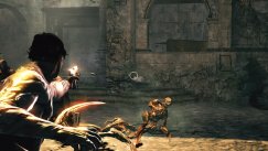 Dark Sector