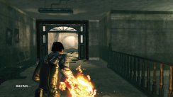 Dark Sector