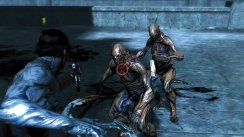 Dark Sector
