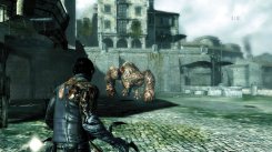 Dark Sector