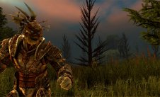Dragon Age: Origins