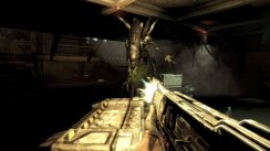 Aliens vs. Predator