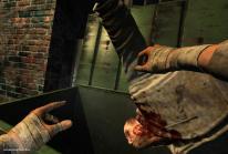 Condemned 2: Bloodshot