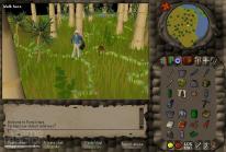 RuneScape