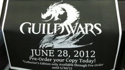 Guild Wars 2