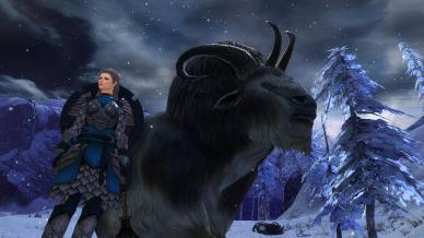 Guild Wars 2