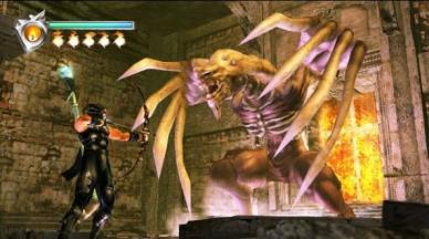 Ninja Gaiden