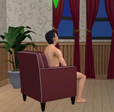 The Sims 2