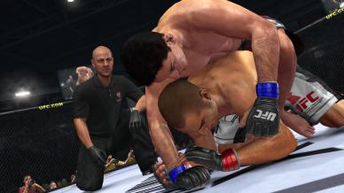 UFC Undisputed 2010