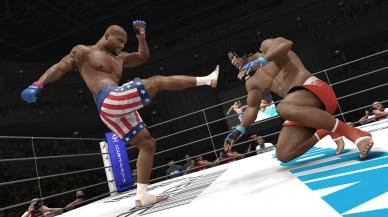 UFC Undisputed 3