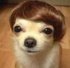 hairhua