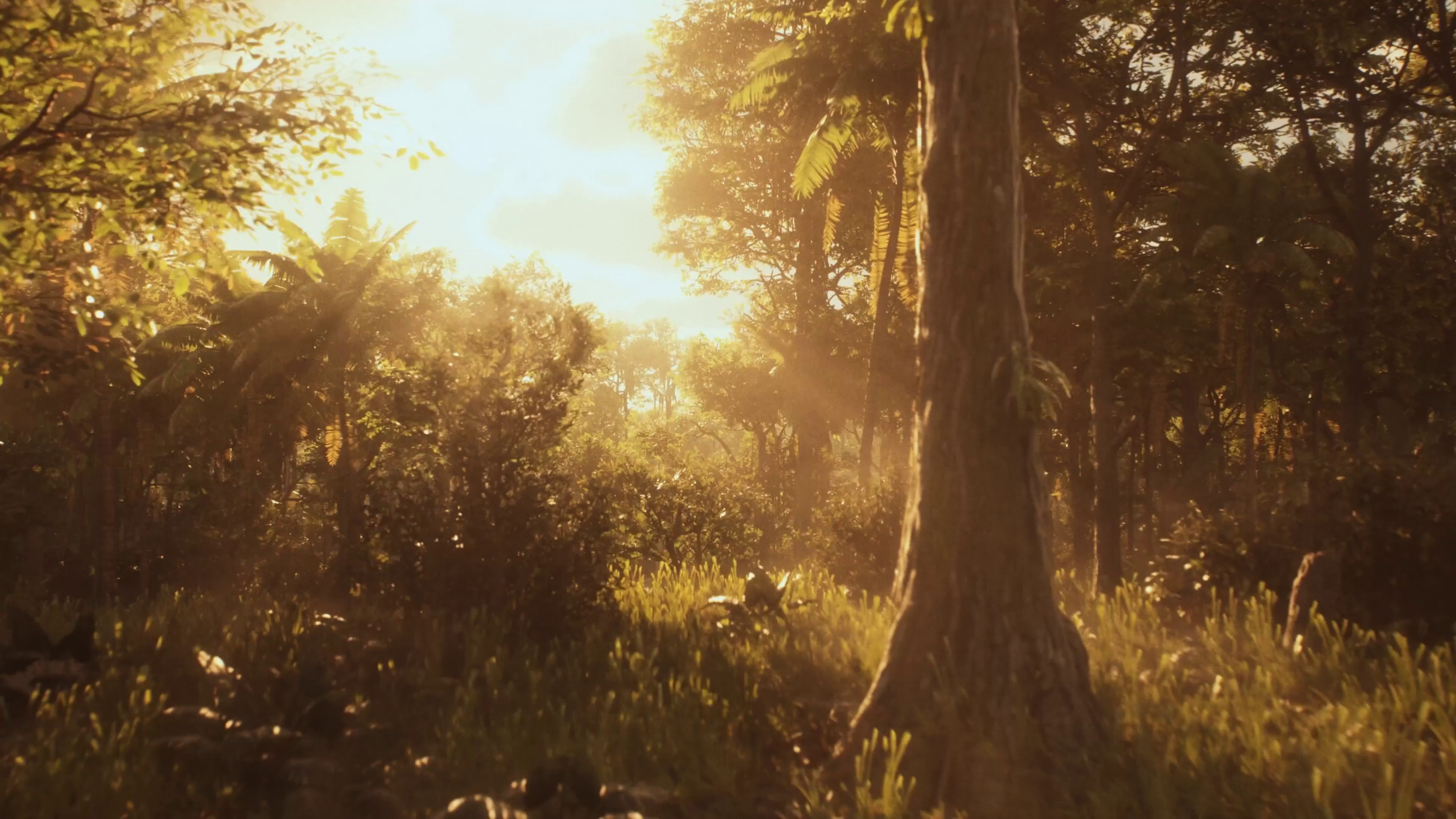 Hell Let Loose: Vietnam esittelee tuhoisat 50v50-taistelut uudessa ...