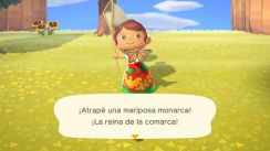 media/01/animalcrossing_3030133t.jpg
