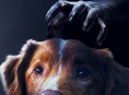 Voit katsoa Good Boyn Disney+ -palvelussa huhtikuun loppuun mennessä