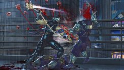 media/03/ninjagaiden2_150332t.jpg